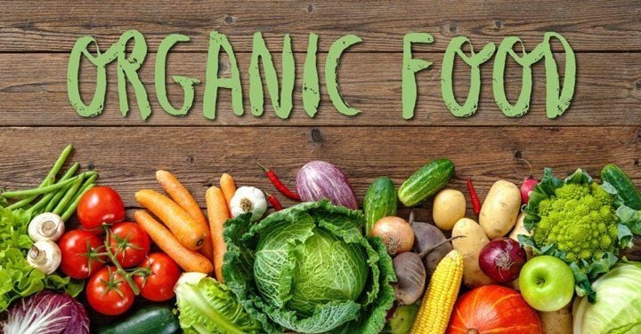 sữa cừu hợp với thực phẩm hữu cơ