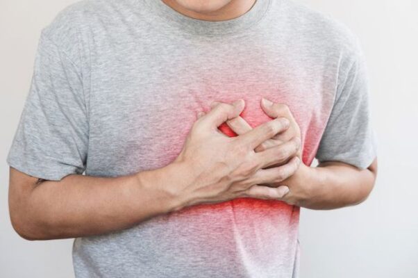 sữa cừu giúp giảm thiểu nguy cơ tim mạch