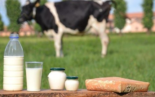 Top 3 những dòng sữa tươi tốt nhất cho người dùng hiện nay
