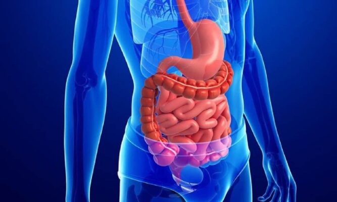 Vì sao tiêu hóa kém gây khó giảm cân?
