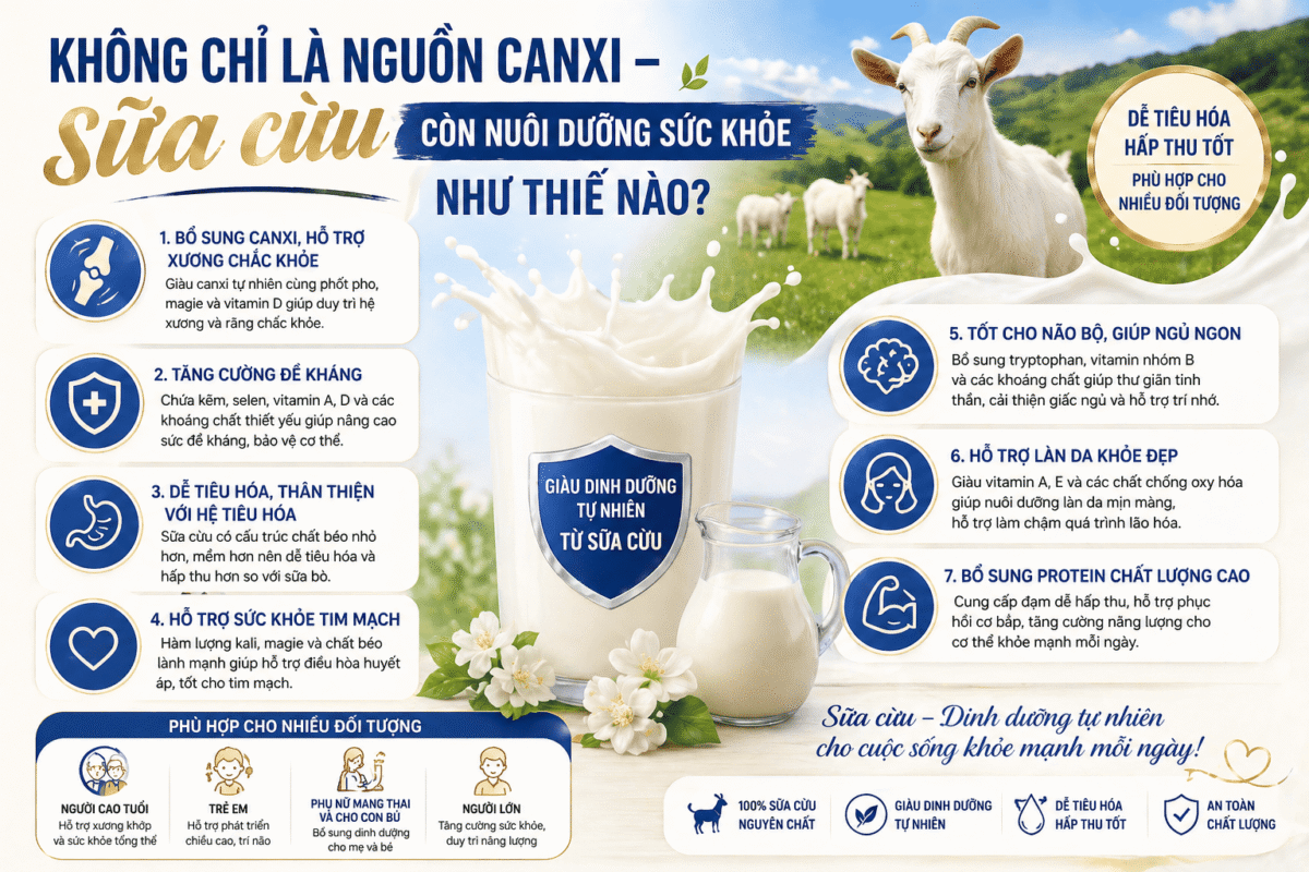 Không chỉ là nguồn canxi – sữa cừu còn nuôi dưỡng sức khỏe như thế nào?