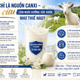 Không chỉ là nguồn canxi – sữa cừu còn nuôi dưỡng sức khỏe như thế nào?