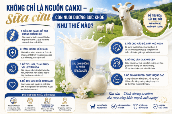 Không chỉ là nguồn canxi – sữa cừu còn nuôi dưỡng sức khỏe như thế nào?
