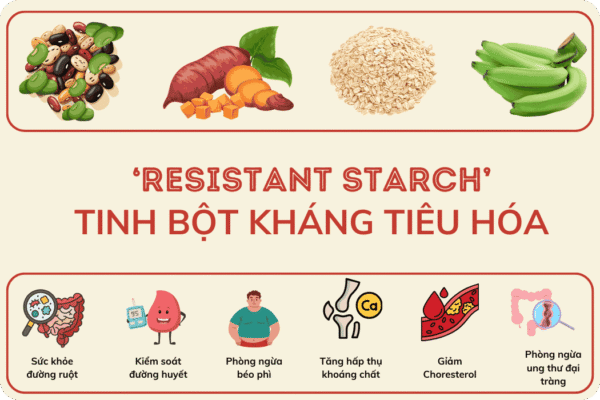 Tinh bột kháng có trong thực phẩm nào?