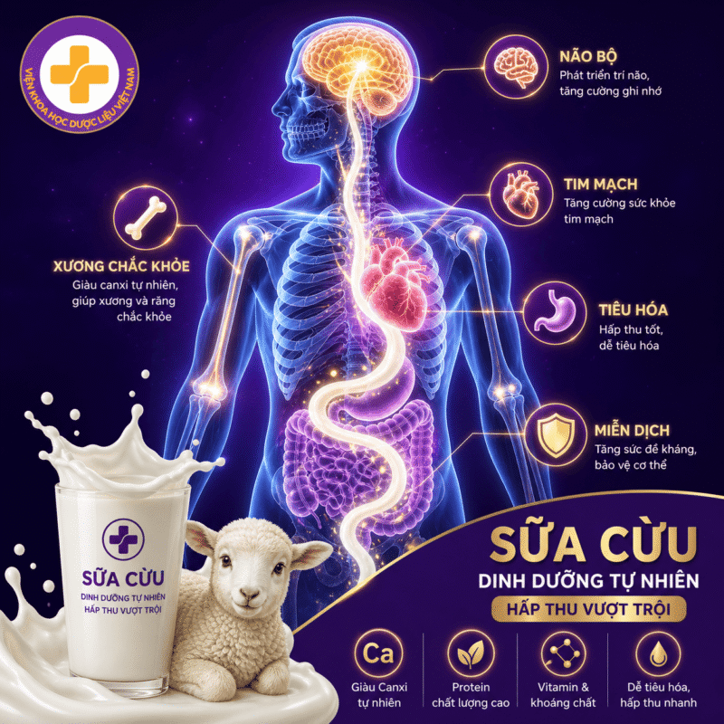sữa cừu aaipharma